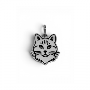 Dije Gato